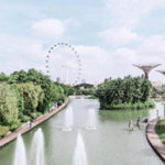 Step-by-Step Guide to Obtain a Singapore Study Visa